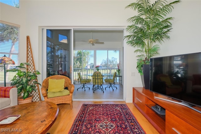 living room featuring ceiling fan and light wood-type flooring