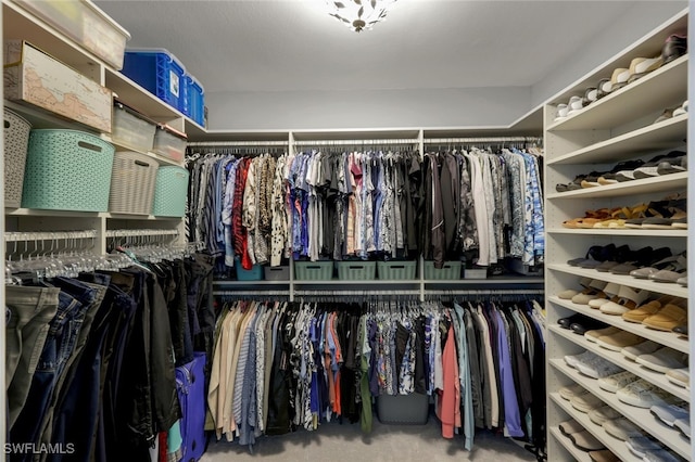 walk in closet with carpet