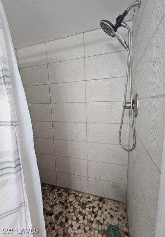 bathroom with a shower with shower curtain