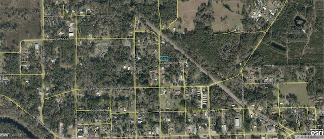 Listing photo 3 for 1st St, White Springs FL 32096