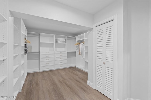 spacious closet featuring light hardwood / wood-style floors