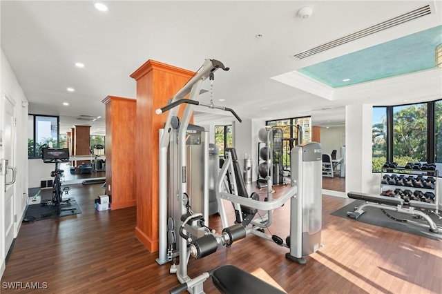 exercise room featuring a tray ceiling and dark hardwood / wood-style floors