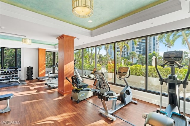 workout area featuring wood-type flooring and a raised ceiling