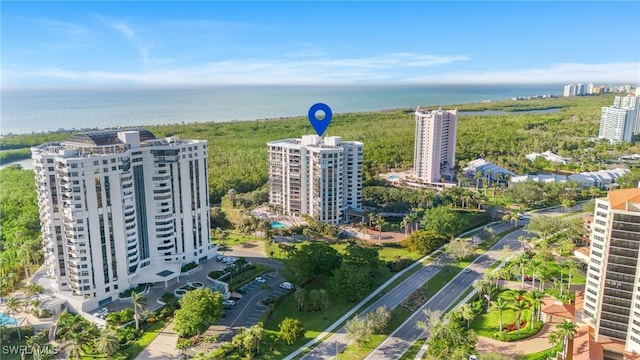 drone / aerial view with a water view