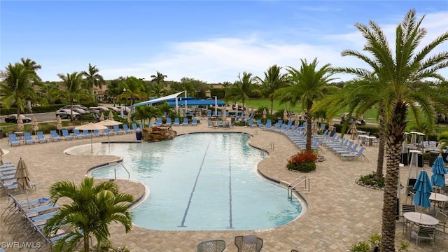 view of pool featuring a patio