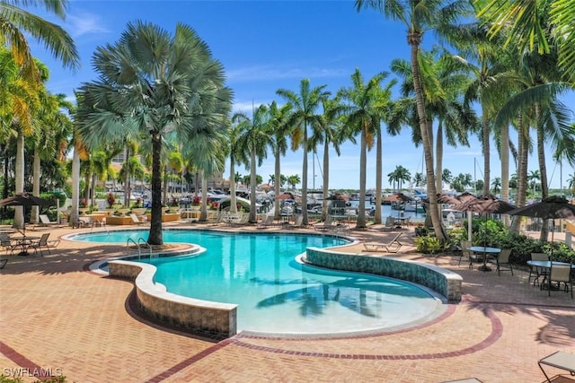 view of pool featuring a patio area