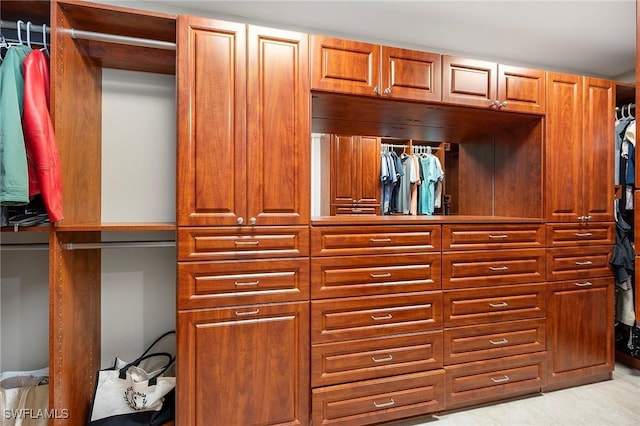 view of spacious closet