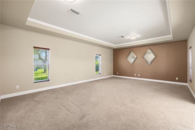 carpeted empty room with a tray ceiling and a healthy amount of sunlight