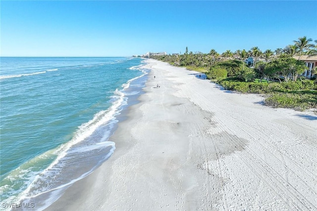 property view of water with a beach view