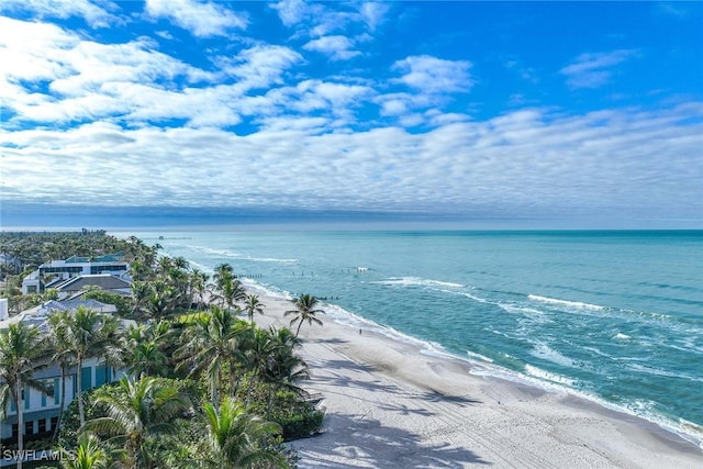 water view featuring a view of the beach