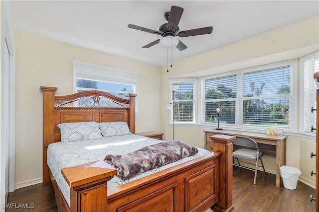 bedroom with ceiling fan, dark wood-type flooring, and multiple windows