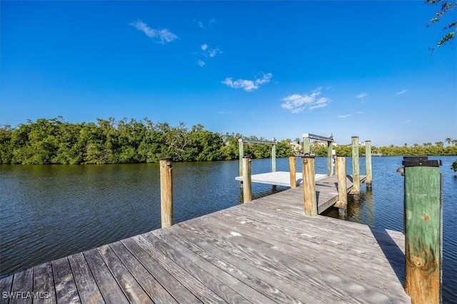 dock area with a water view