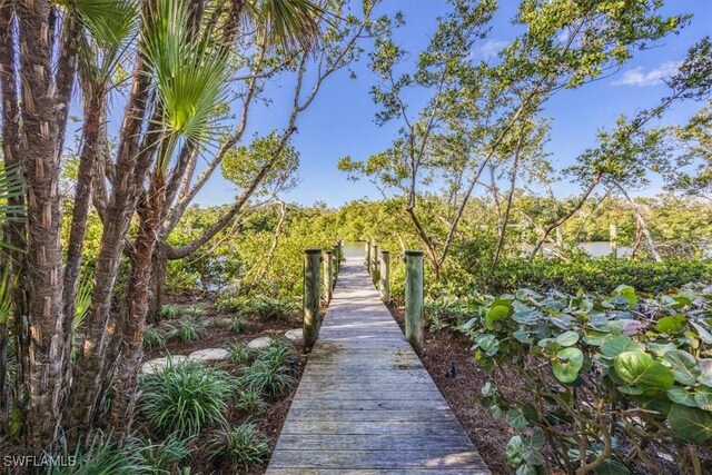 view of property's community with a dock