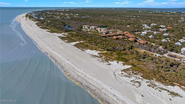 drone / aerial view with a beach view and a water view