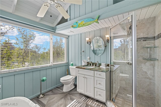 bathroom with a wealth of natural light, a shower with door, and vanity