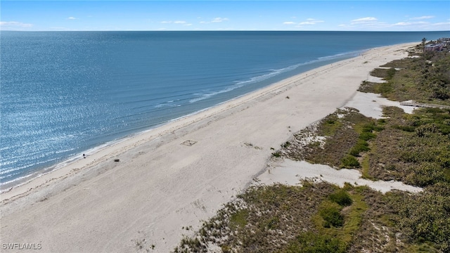 property view of water featuring a view of the beach