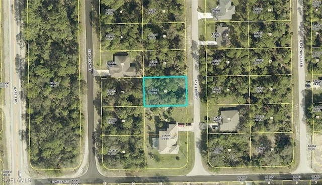 2005 Robert Ave, Alva FL, 33920 land for sale