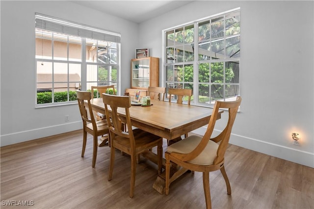 dining space featuring light hardwood / wood-style floors and a healthy amount of sunlight