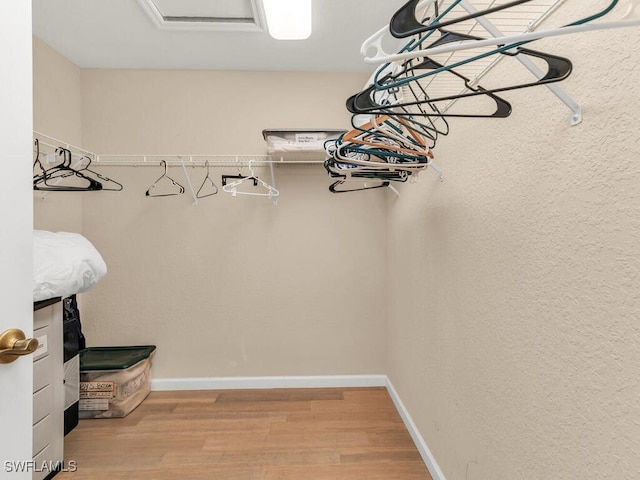 walk in closet featuring hardwood / wood-style floors