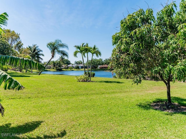 view of yard featuring a water view