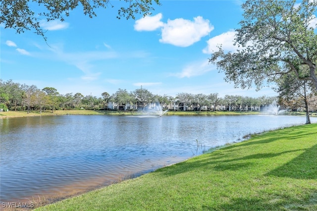 property view of water