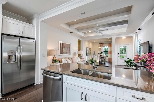 kitchen with a tray ceiling, white cabinetry, sink, and stainless steel appliances