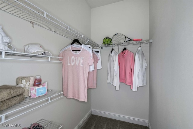 spacious closet with dark colored carpet