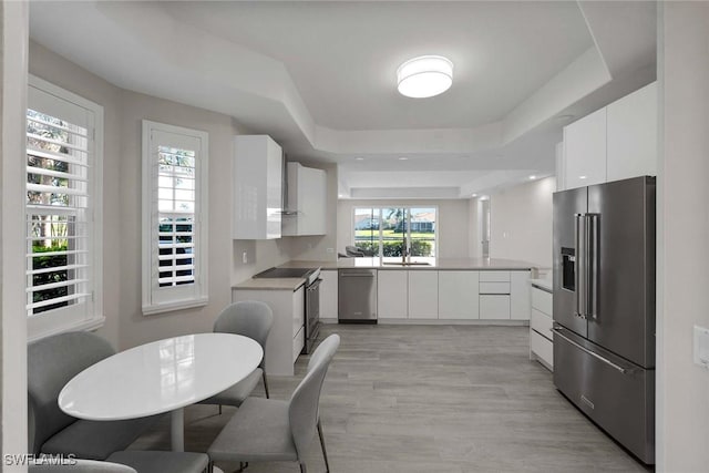 kitchen featuring sink, white cabinetry, a tray ceiling, and appliances with stainless steel finishes