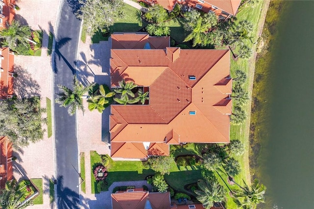 aerial view with a water view