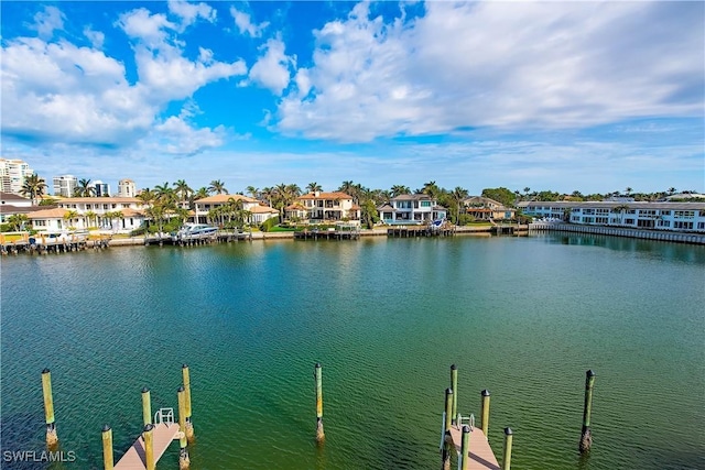 water view with a dock