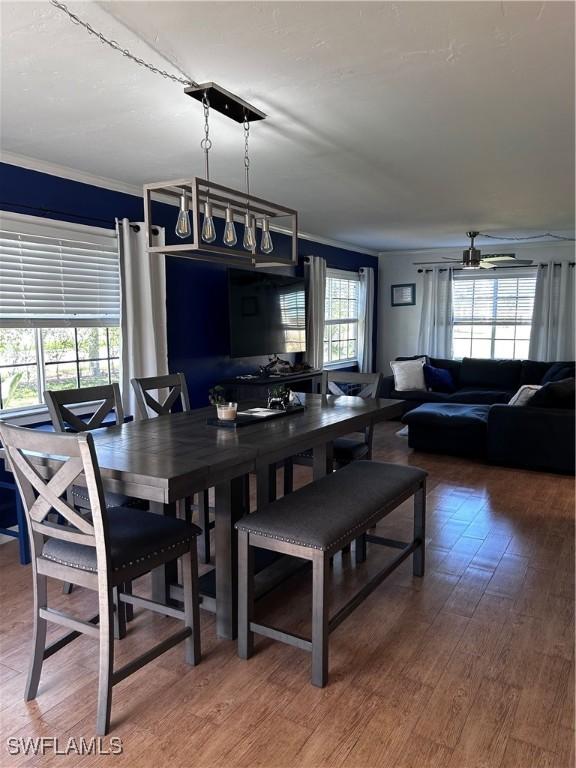 dining area with ceiling fan, wood-type flooring, plenty of natural light, and ornamental molding