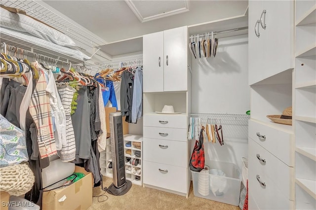 walk in closet with light colored carpet