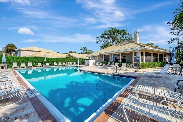 view of swimming pool with a patio area