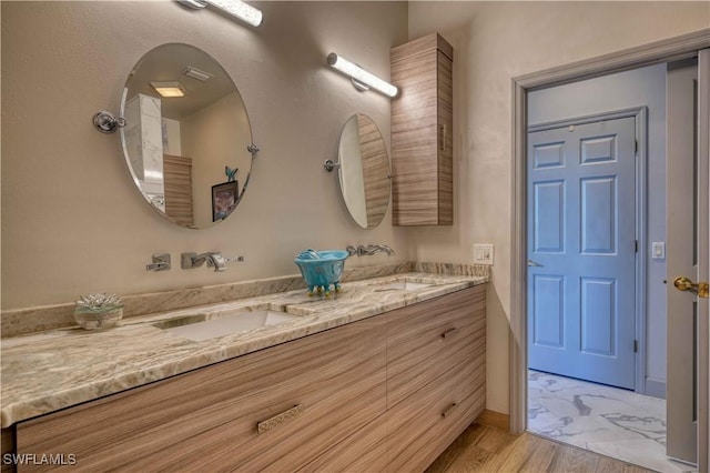 bathroom with wood-type flooring and vanity