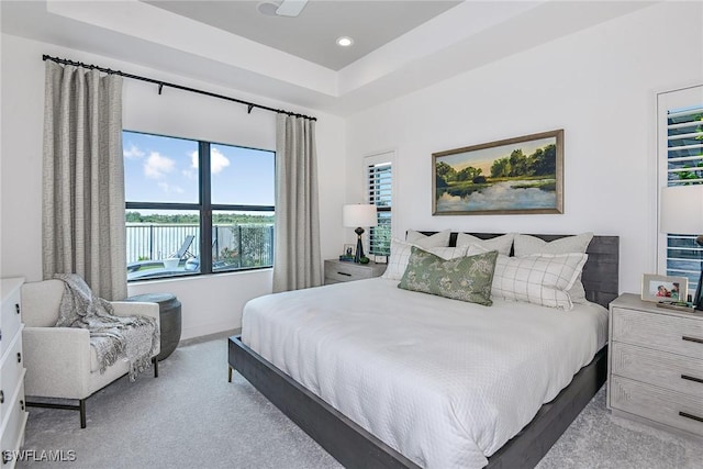 bedroom with a raised ceiling