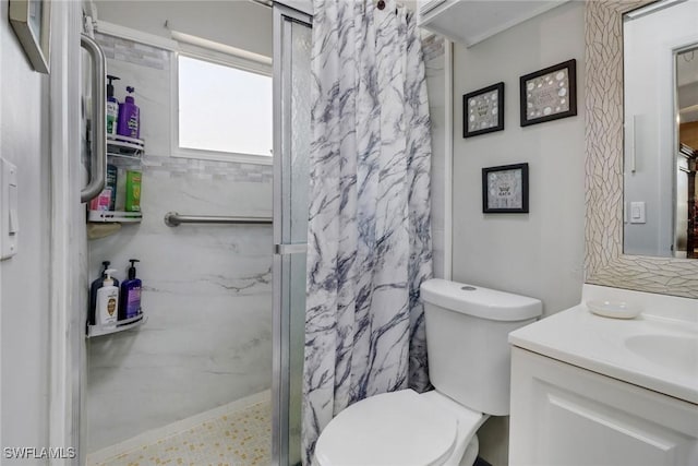 full bath featuring toilet, a shower stall, and vanity