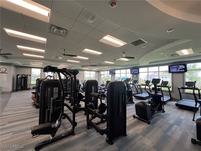 workout area featuring plenty of natural light, visible vents, and carpet flooring