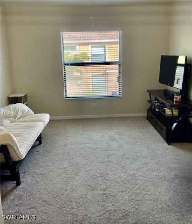 sitting room with baseboards and carpet