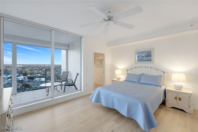 bedroom with light hardwood / wood-style flooring, a walk in closet, a closet, and ceiling fan