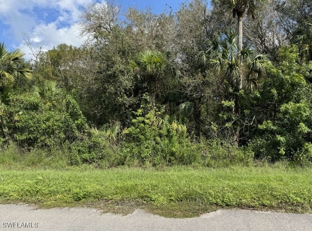 36XX 38th Ave SE, Naples FL, 34117 land for sale