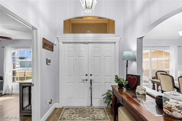 entrance foyer with wood-type flooring