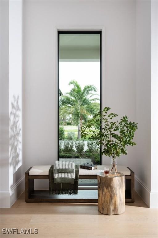 living area featuring wood-type flooring