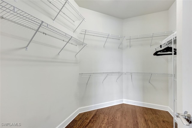 walk in closet featuring hardwood / wood-style floors