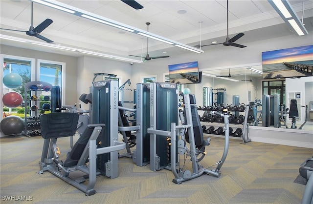 exercise room featuring ceiling fan, crown molding, and carpet