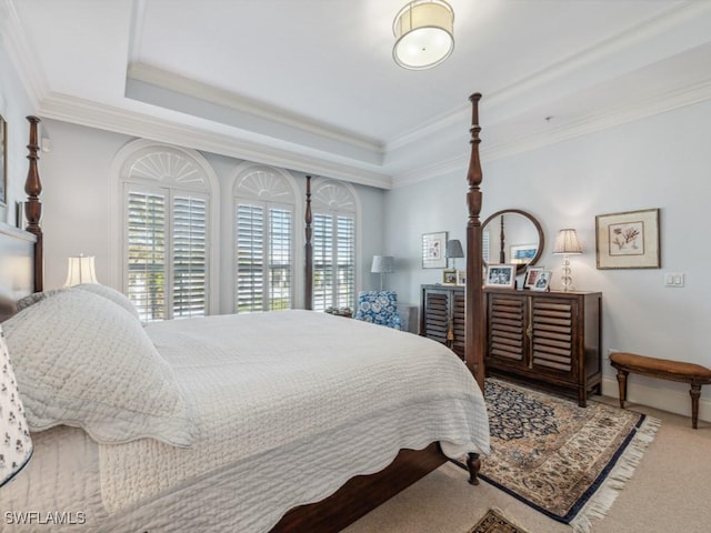 bedroom featuring carpet flooring and a raised ceiling