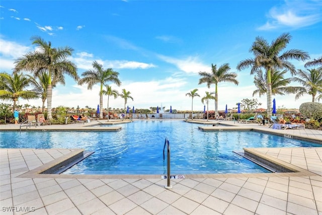 view of pool featuring a patio area