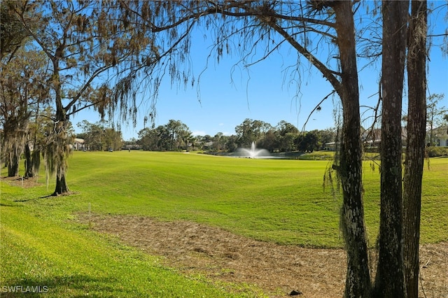 view of property's community featuring a lawn