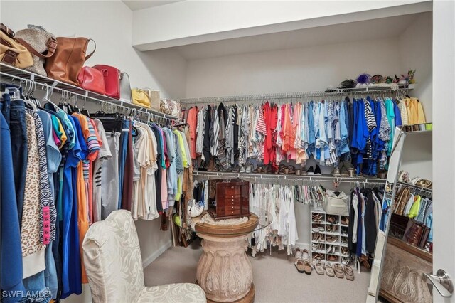 spacious closet with carpet