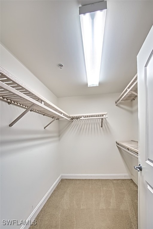 walk in closet featuring light colored carpet