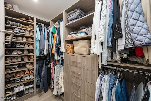 spacious closet featuring light hardwood / wood-style flooring